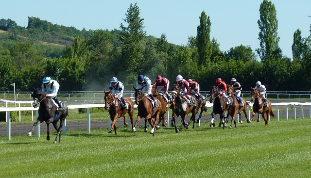 Horse Race Australia