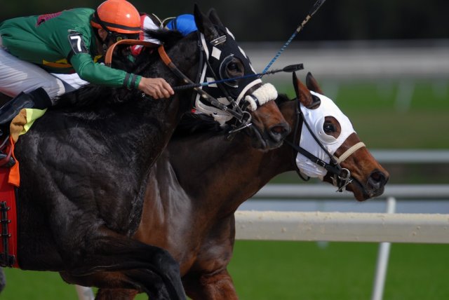 Racing Close Up