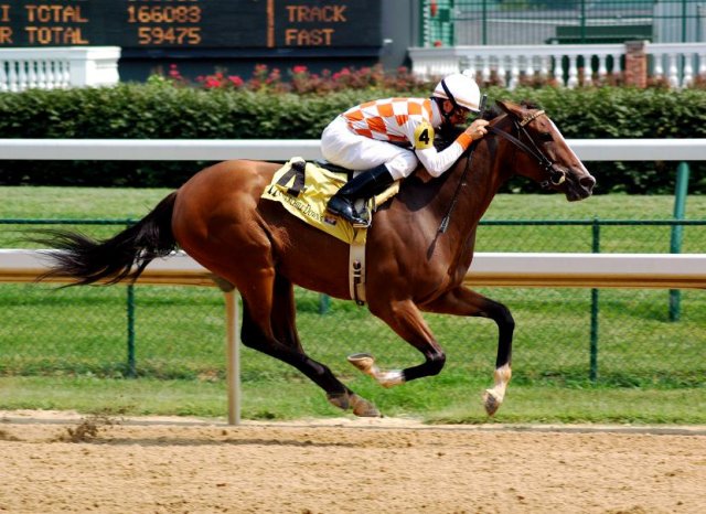 florida online horse racing gambling site