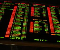 Sports Betting Tipsters